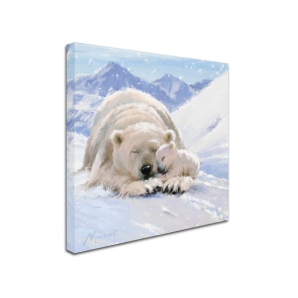 The Macneil Studio 'Bearcub Square' Canvas Art,35x35